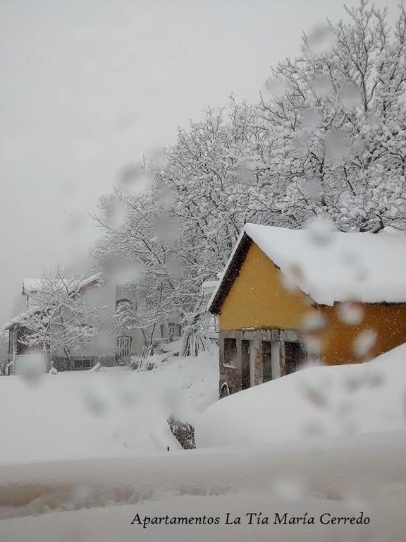 Tia Maria Bed & Breakfast Cerredo Dış mekan fotoğraf