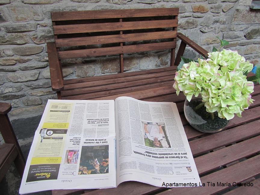 Tia Maria Bed & Breakfast Cerredo Dış mekan fotoğraf