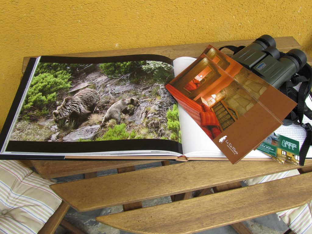 Tia Maria Bed & Breakfast Cerredo Dış mekan fotoğraf